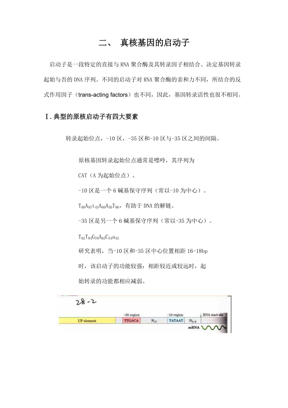 真核基因的启动子_第1页