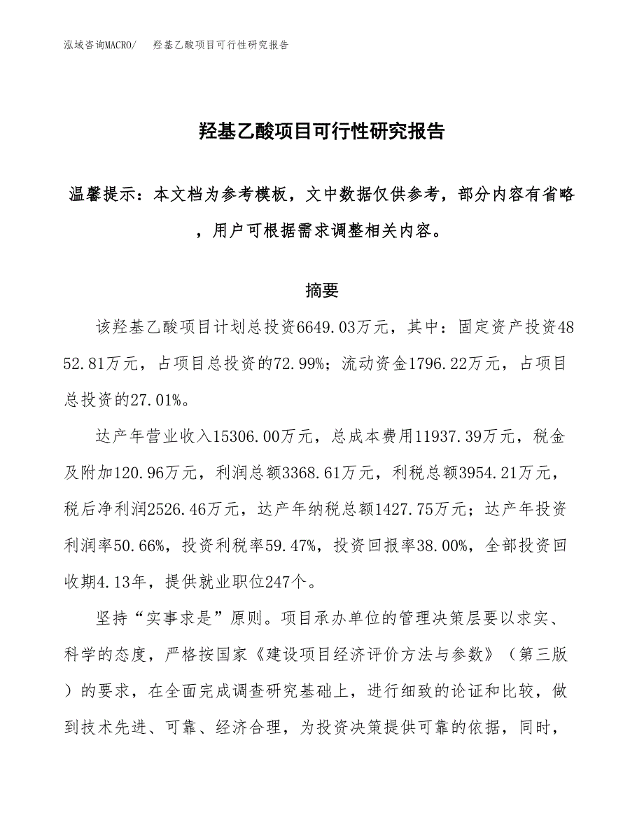 羟基乙酸项目可行性研究报告范本大纲.docx_第1页
