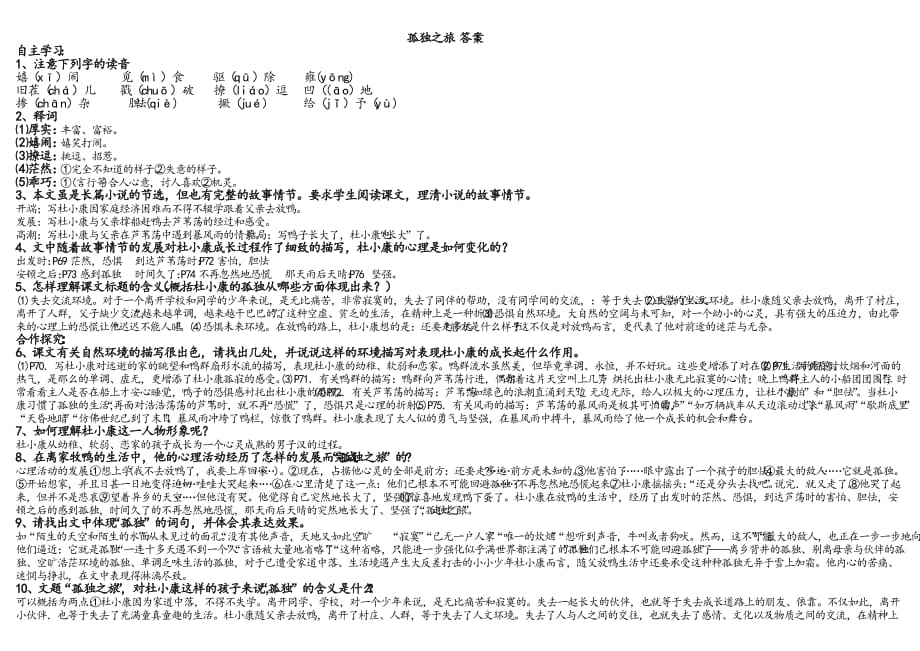 孤独之旅答案_第1页