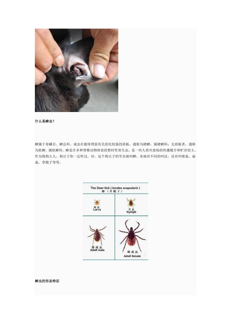 蜱虫生活习性及综合防治附图_第1页