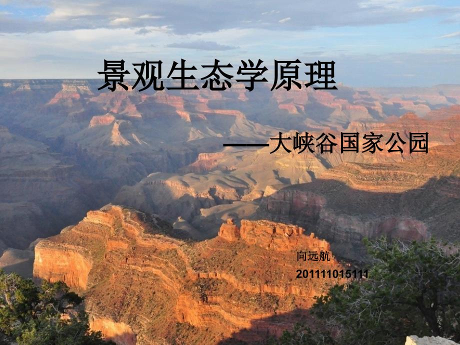 大峡谷国家公园讲解_第1页