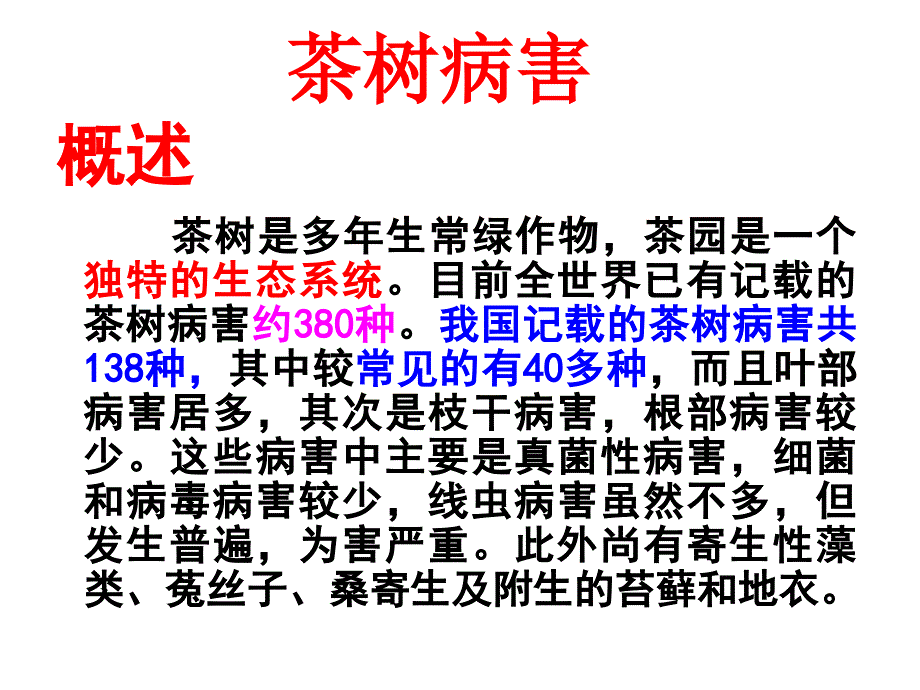 茶树叶部病害_第1页