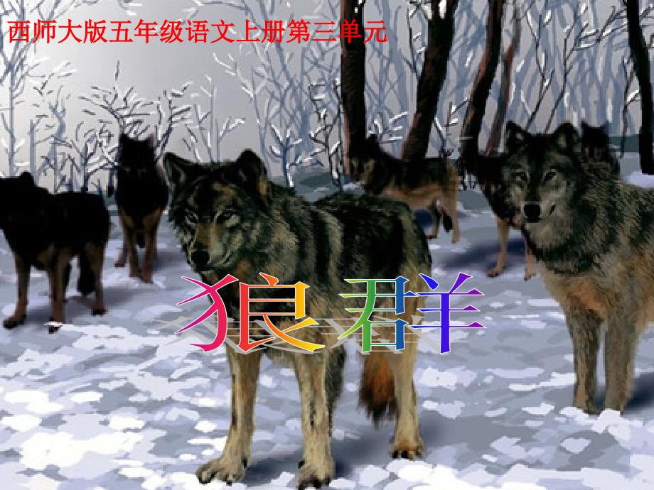 语文五年级上西师大11《群狼》课件4解读_第1页