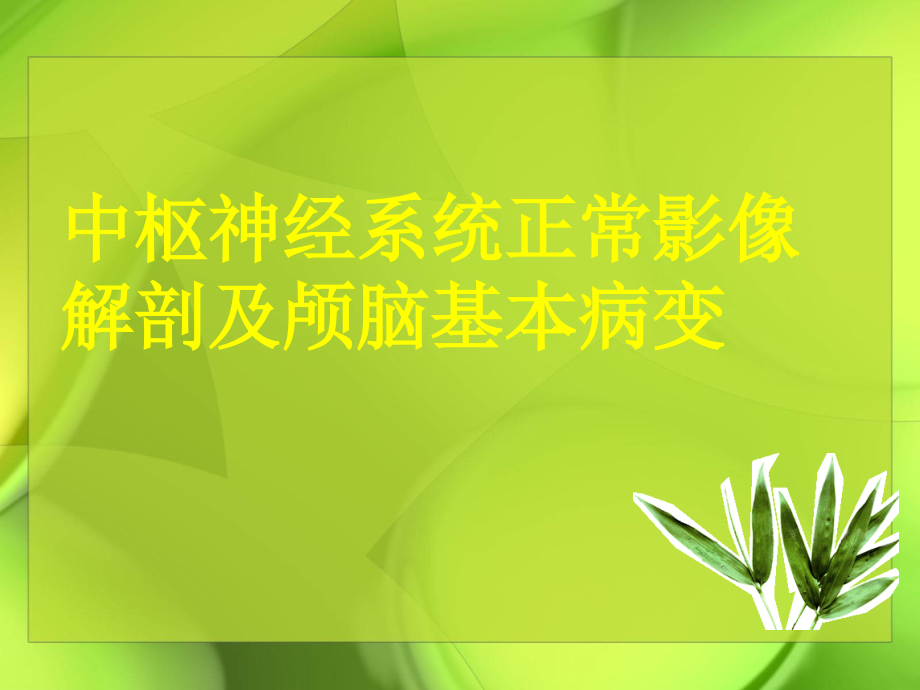 中枢神经系统正常影像解剖及颅脑基本病变新改解读_第1页