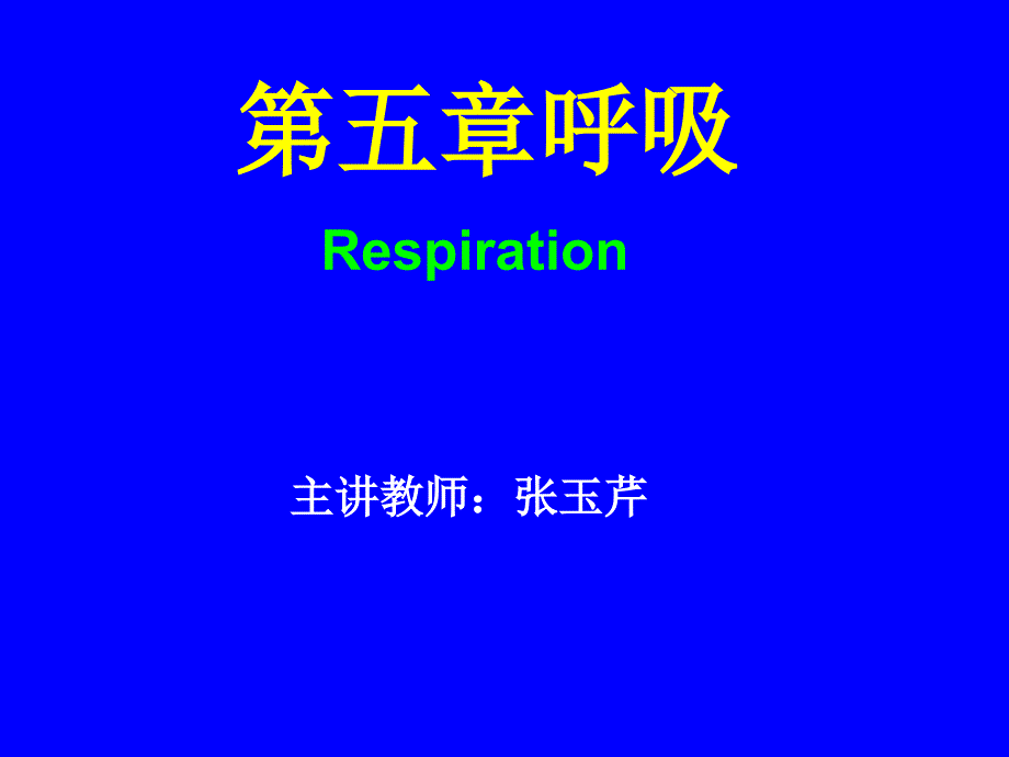 生理第8版 呼吸教材_第1页