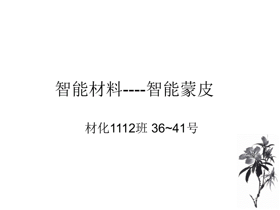 智能材料----智能蒙皮._第1页
