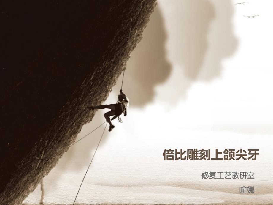 倍比雕刻上颌尖牙_第1页