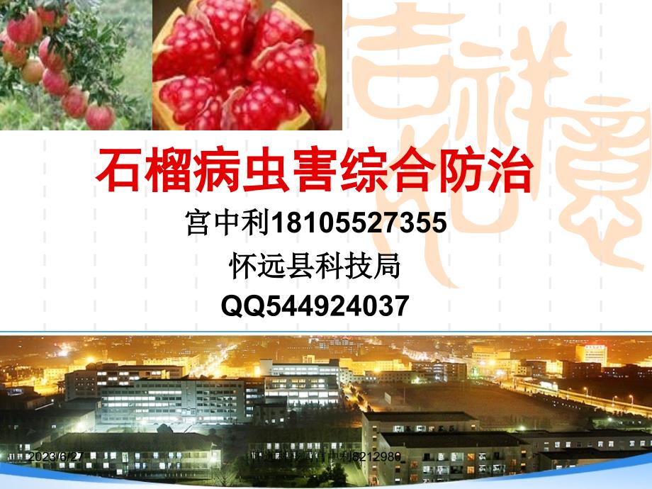 石榴病虫害综合防治_第1页