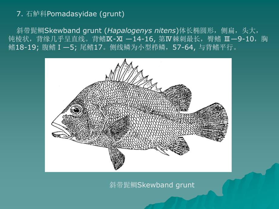 鱼类养殖学04汇编_第1页