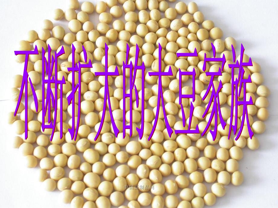 人文与社会六年级上册：不断扩大的大豆家族新_第1页
