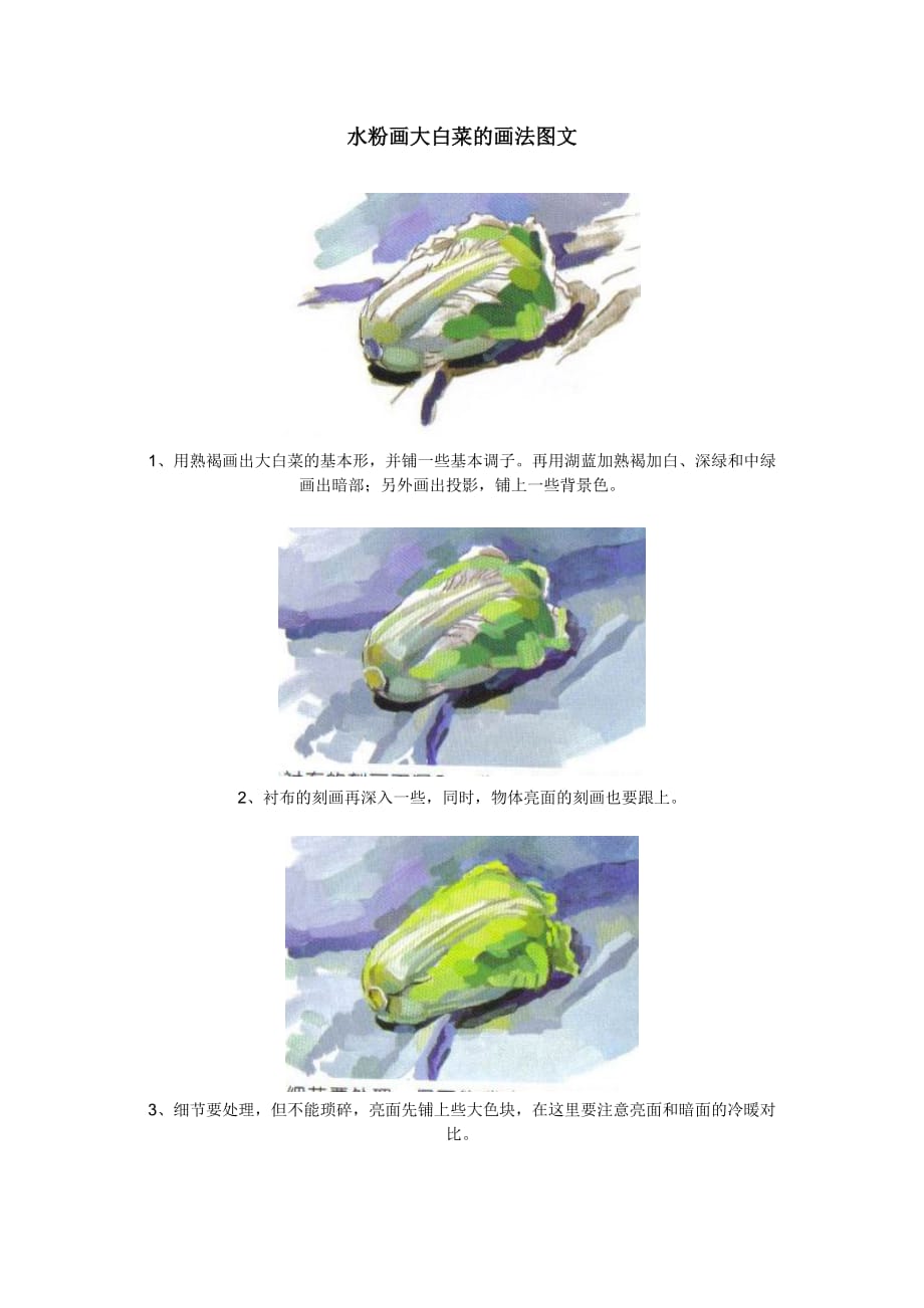 水粉色彩静物画大白菜的画法图文-实用_第1页