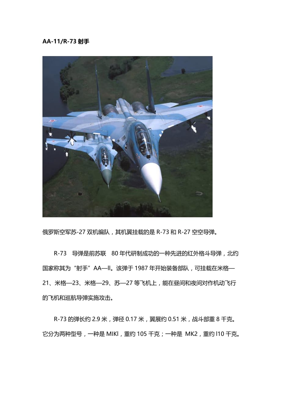 AA-11R-73射手资料_第1页