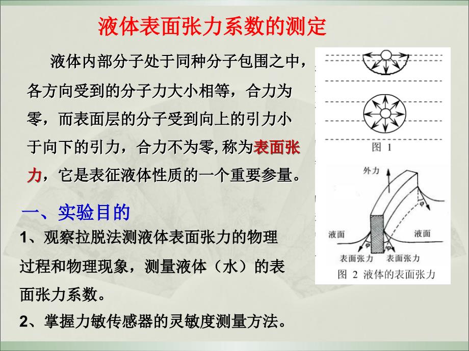 张力和电位差讲解_第1页