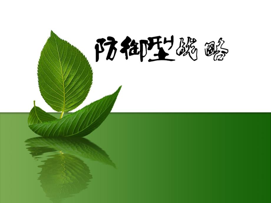 营销策划之防御型战略讲解_第1页