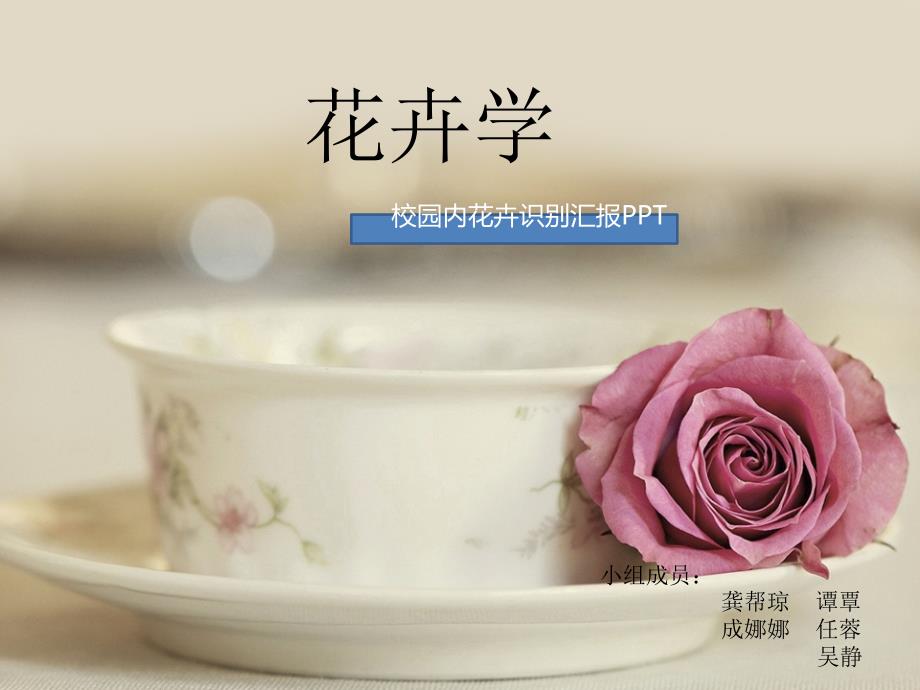 花卉学校园植物汇报汇编_第1页
