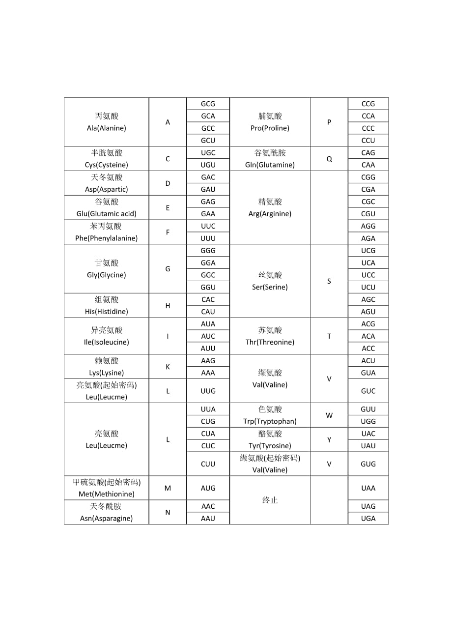 密码子对照表_第1页