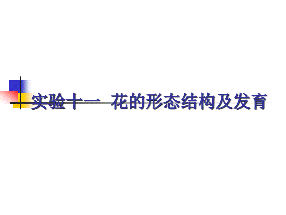 植物实验11 花的形态结构及发育_第1页