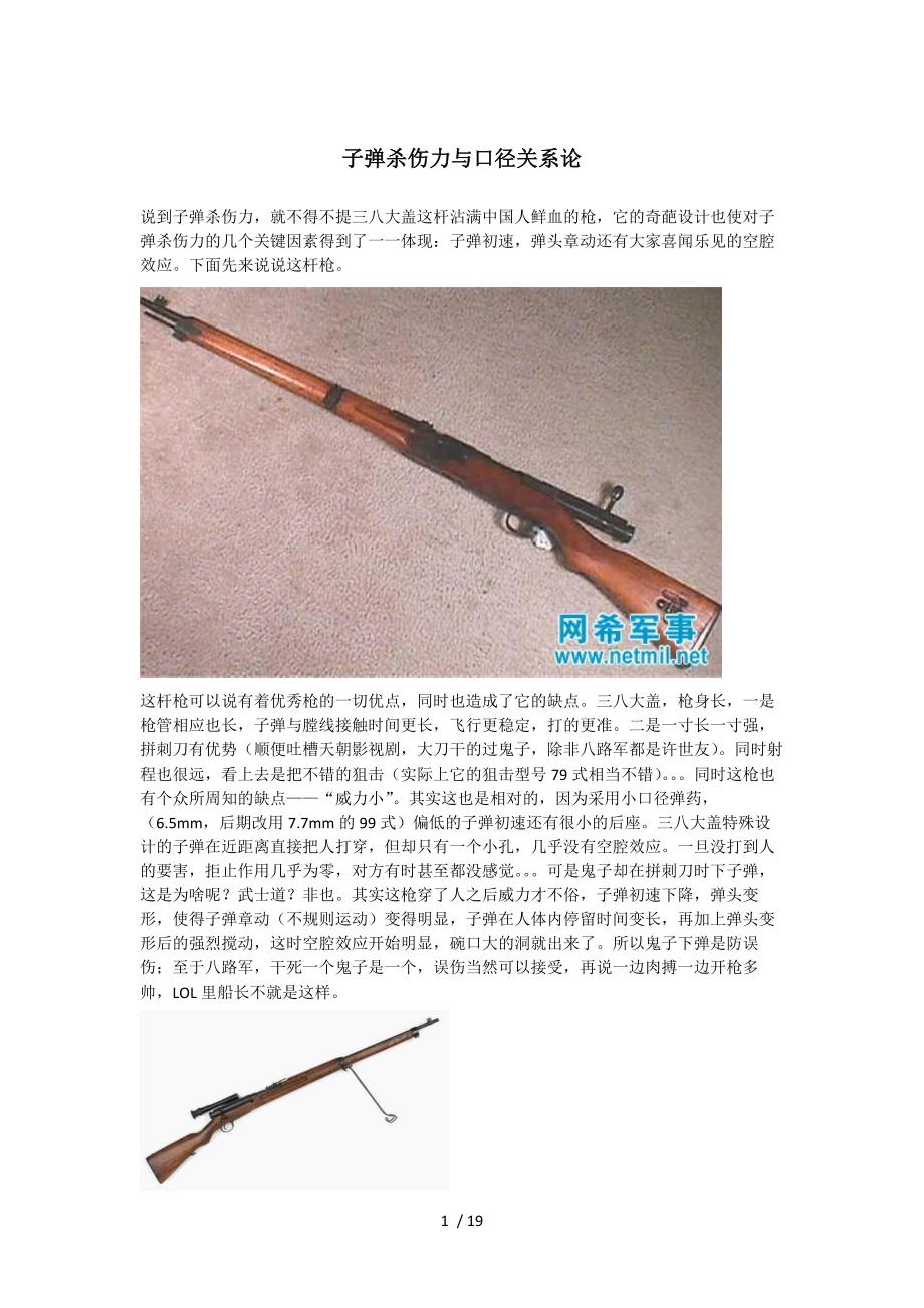 子弹杀伤力与口径关系论_第1页
