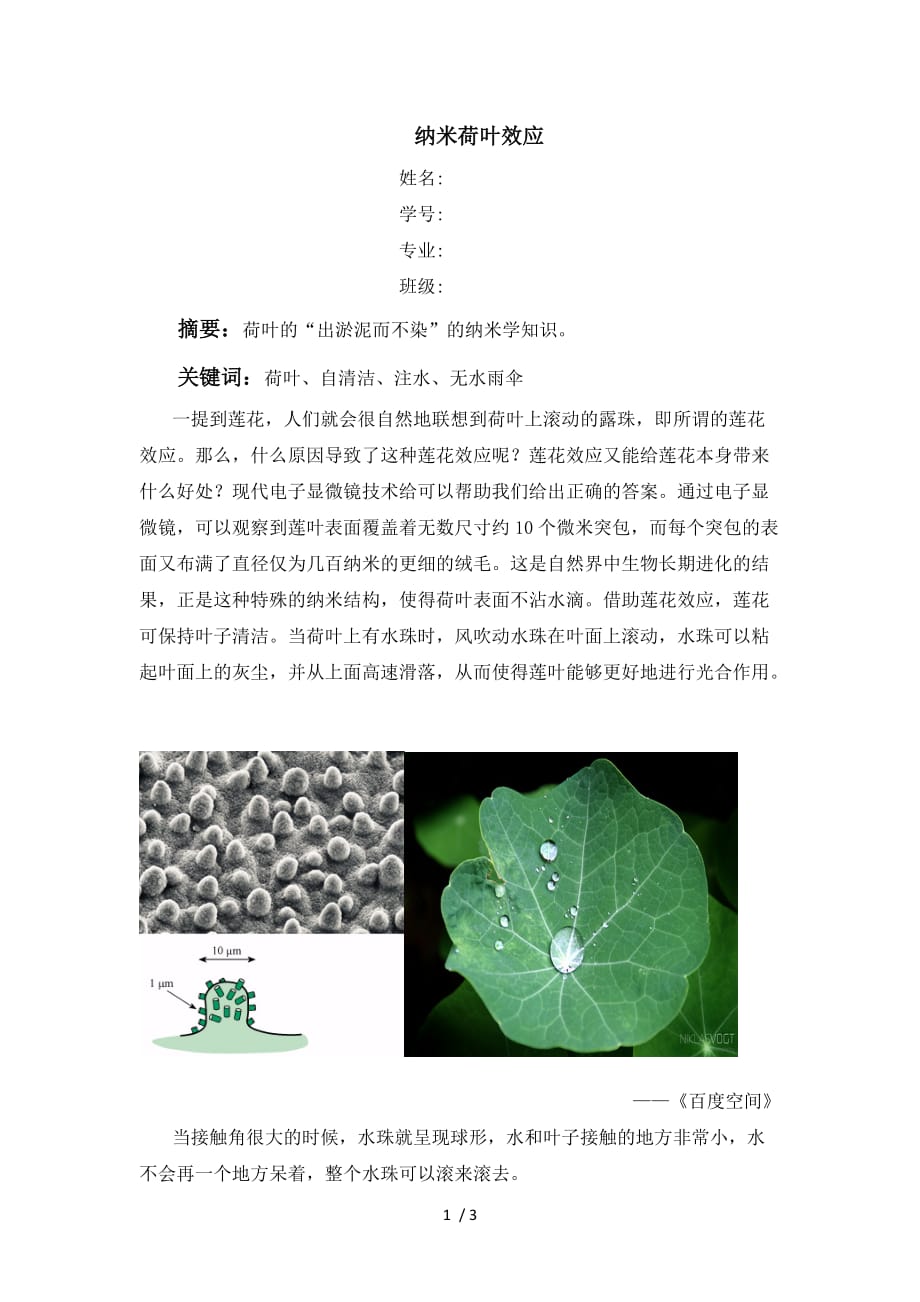纳米荷叶效应_第1页