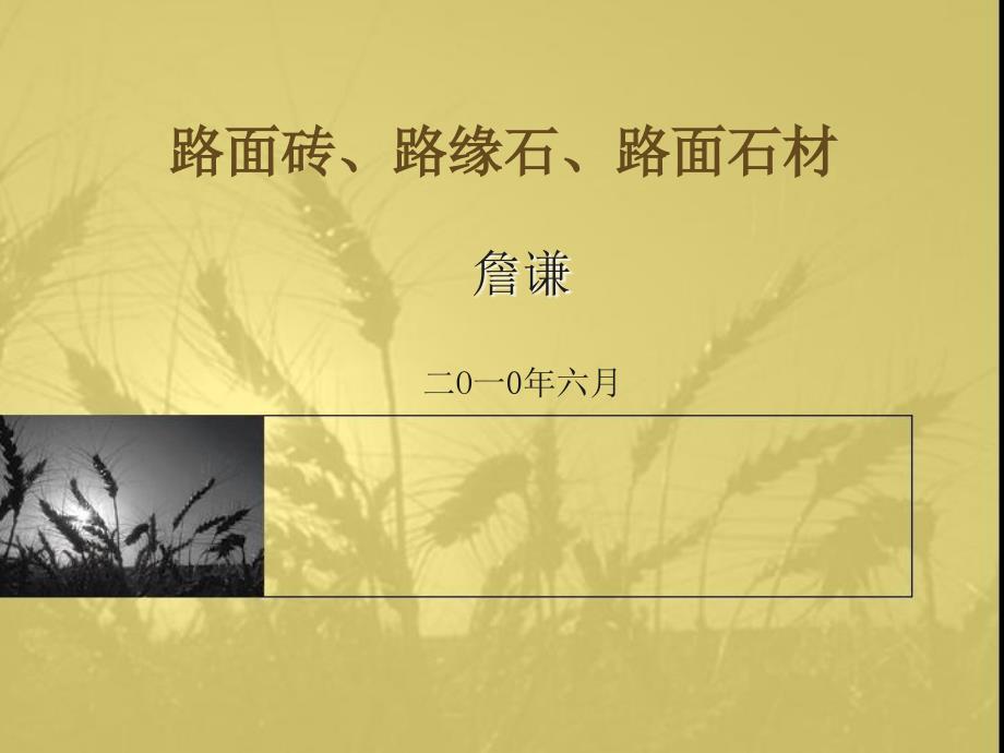 路面砖路缘石路面石材检测_第1页