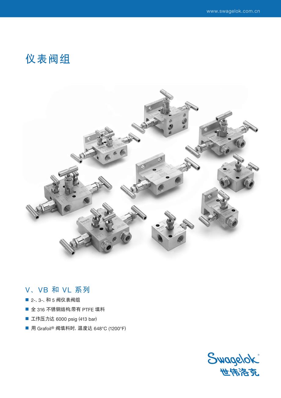 swagelok仪表阀组_第1页