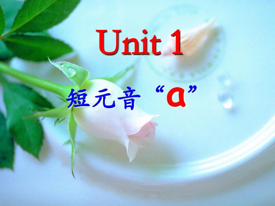 unit 1-3元音a、e、i、的发音_第1页
