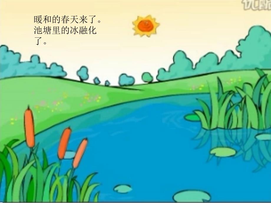 大班语言课小蝌蚪找妈妈_第1页