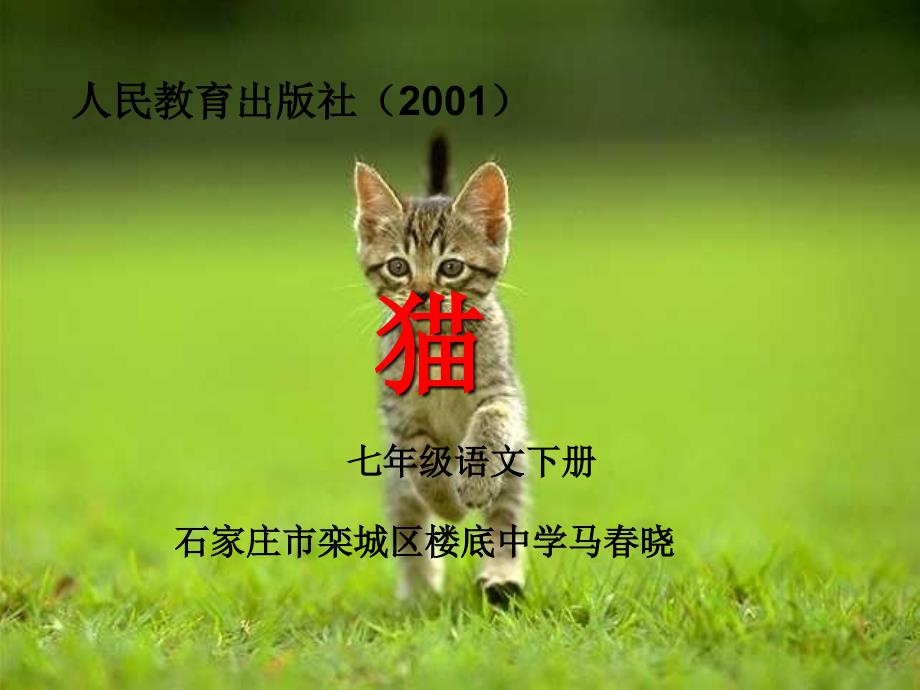 语文人教版七年级下册猫（2010,年说读课、小组合作、校级研讨课）_第1页