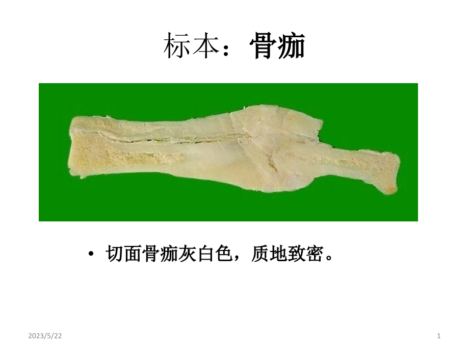 病理切片图库汇总_第1页