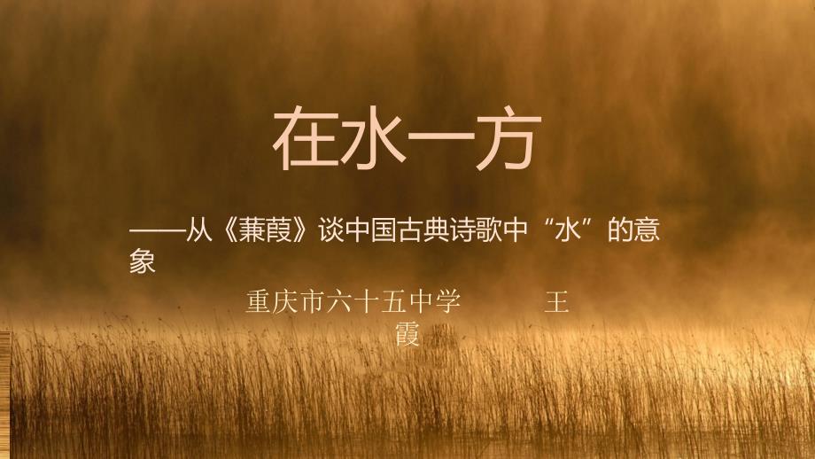 语文人教版九年级下册在水一方_第1页