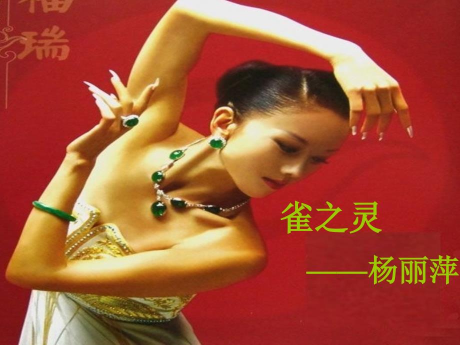《雀之灵》课件_第1页