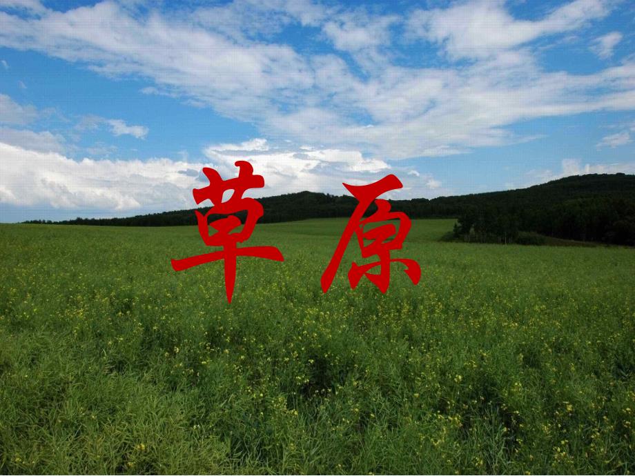 课文16 草原_第1页