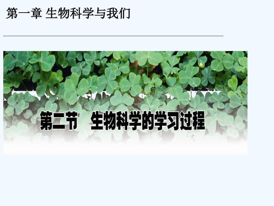 《像科学家一样研究：科学研究》课件1_第1页