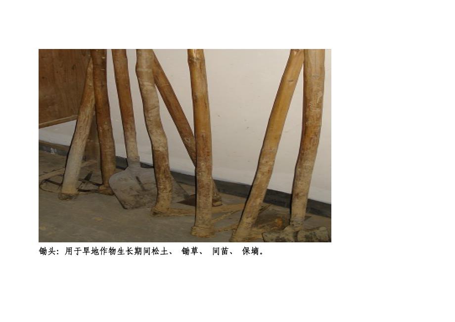 传统农具_第1页
