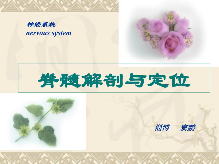 脊髓解剖与定位资料_第1页
