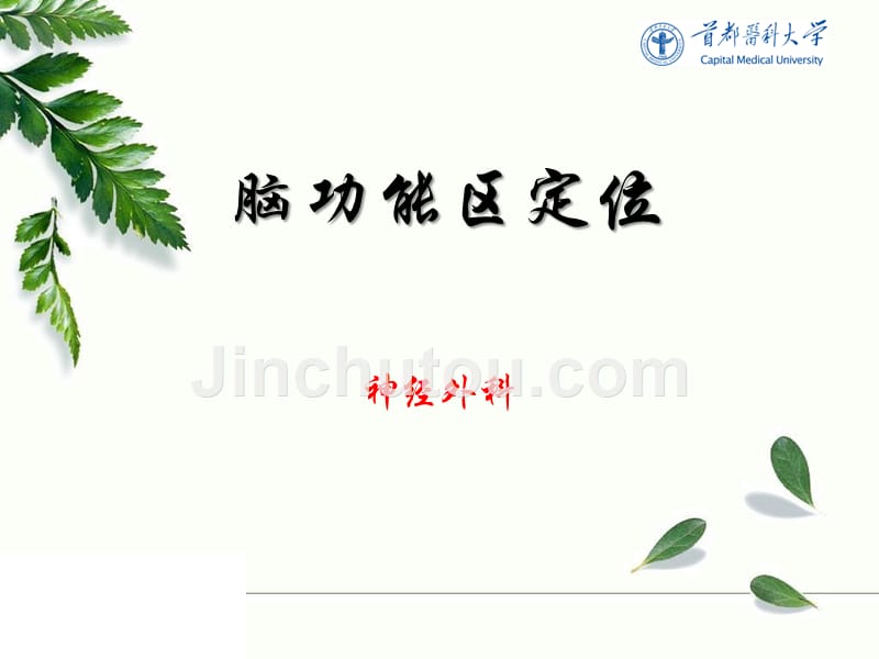 脑功能区定位2资料_第1页