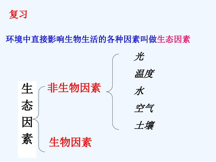 生物人教版七年级上册探究光照对黄粉虫的影响_第1页