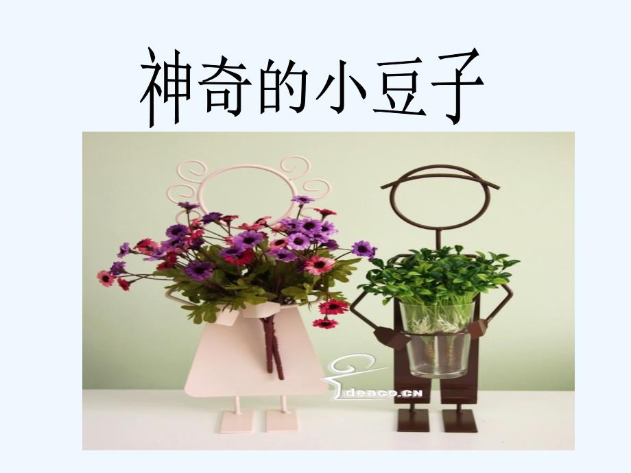 语文人教版三年级上册神奇的小豆子_第1页