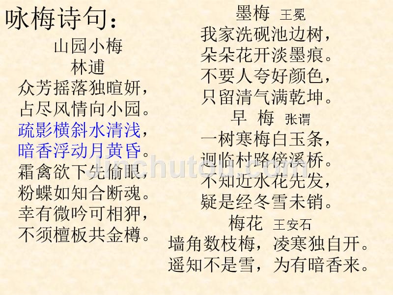 卜算子咏梅比较阅读资料_第1页