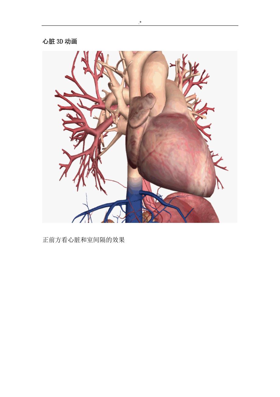 3D动画图样解析心脏大体解剖(医学专业必收藏)_第1页