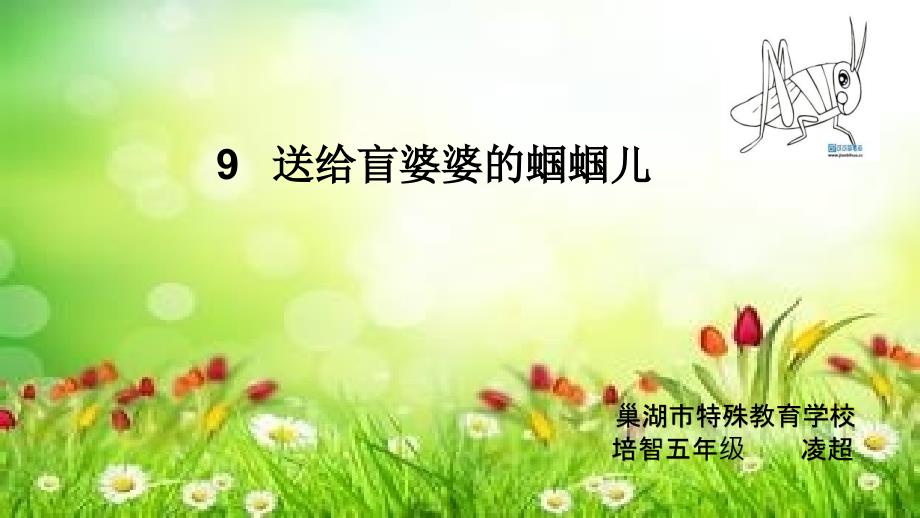 人教版语文五年级下册送给盲婆婆的蝈蝈儿_第1页