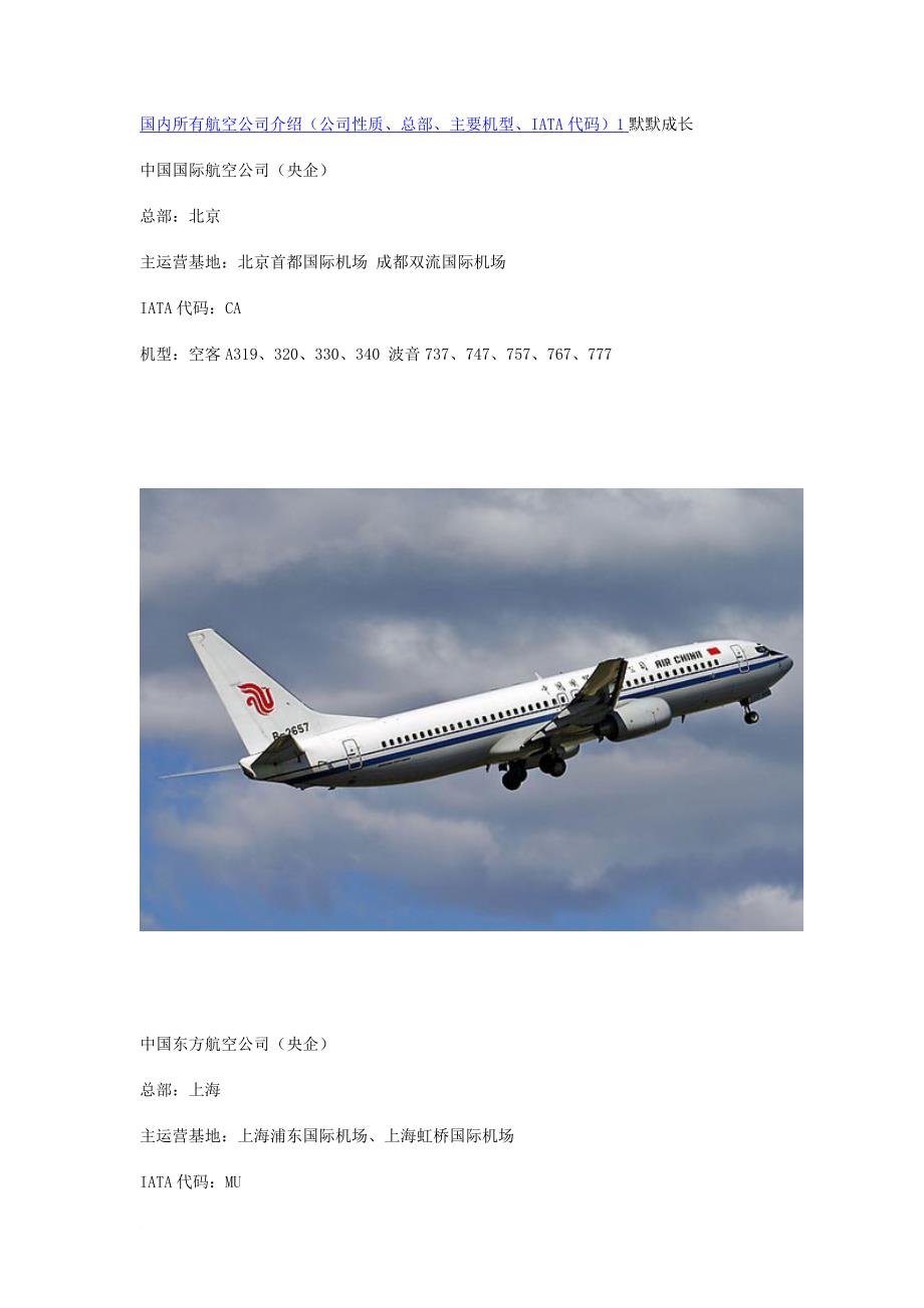 国内所有航空公司介绍.doc_第1页
