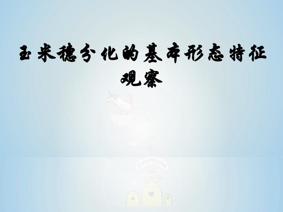 玉米穗分化的基本形态特征观察_第1页