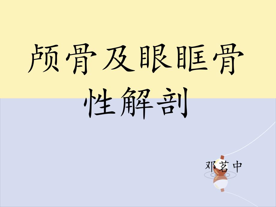颅骨与眼眶骨性解剖_第1页