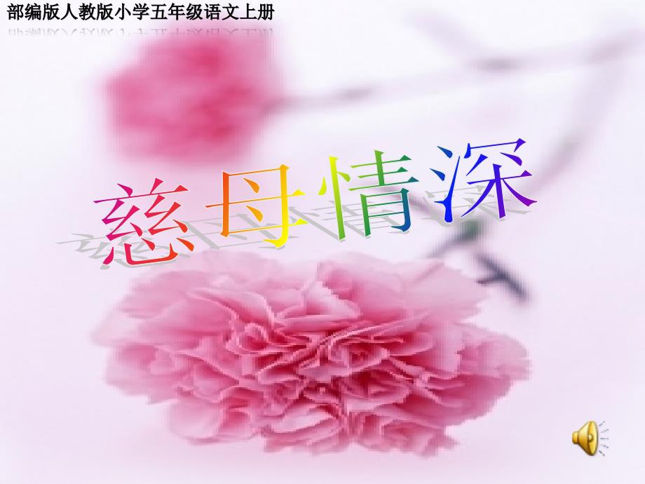 部编版人教版小学五年级语文上册《慈母情深》教学PPT课件_第1页