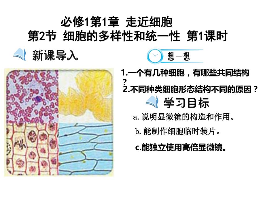 人教版高中生物必修1 第1章第2节 细胞的多样性和统一性第1课时（课件）.ppt_第1页