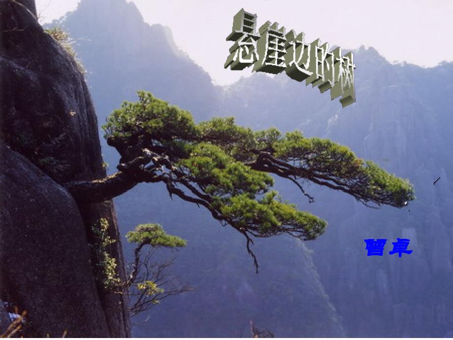 《悬崖边的树》_第1页