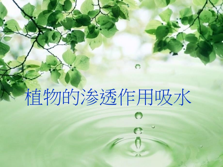 渗透作用吸水_第1页