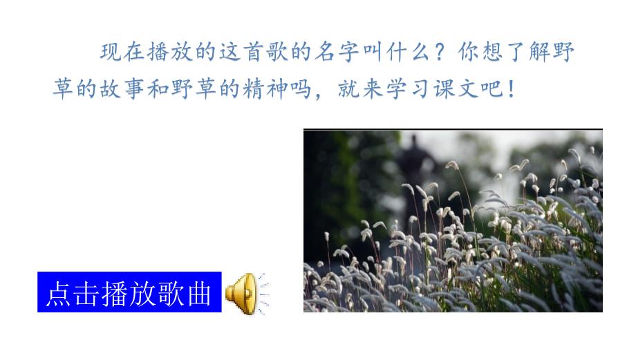 (赛课课件）六年级下册语文《野草》(共63张PPT)_第1页