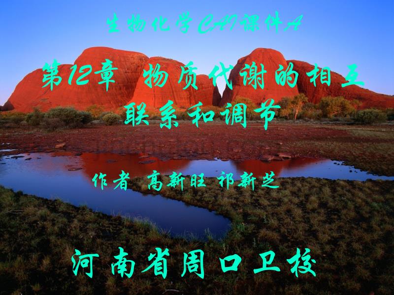 第物质代谢的相互联系和调_第1页